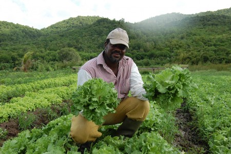 photos agriculteurs 067 